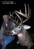Whitetail Deer Hunting Image 1