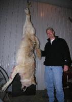 Whitetail Deer Hunting Image 2